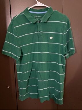 Banana Republic Green Polo with White Stripe Detail